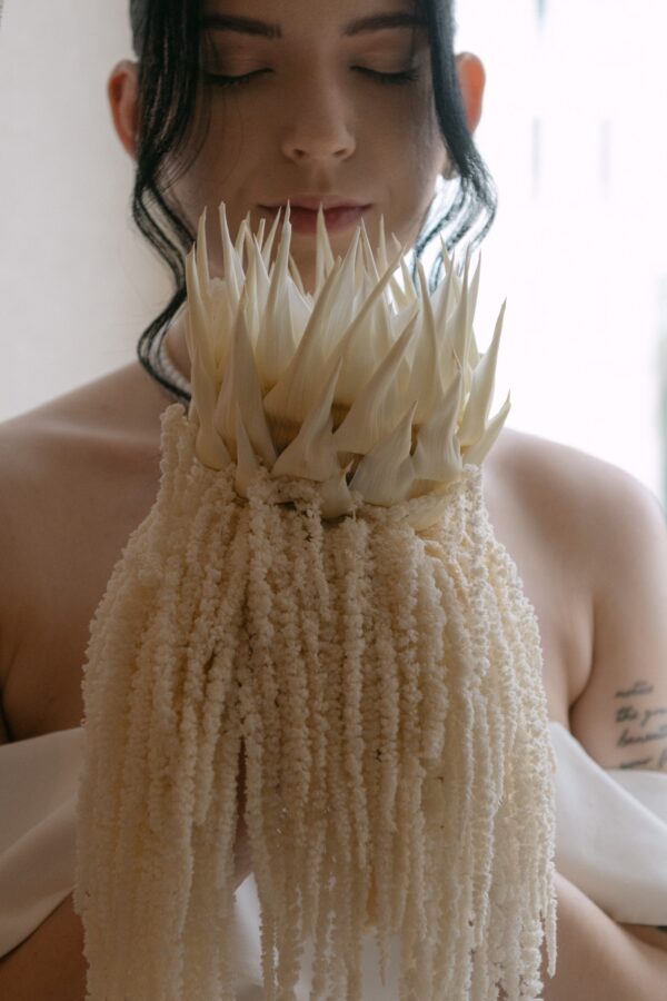 Nuotakos-puokste-su-protea
