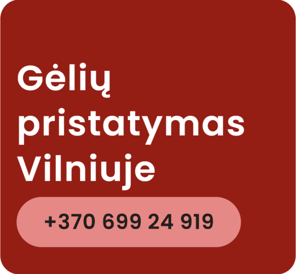geliu pristatymas vilniuje