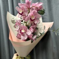 PUOKSTE SU ORCHIDEJA