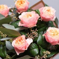 Roze