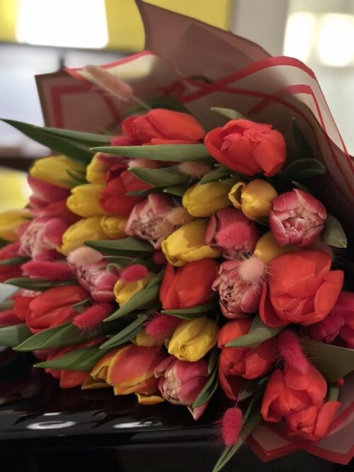Tulpes