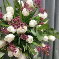 Tulpes5 — InFlowers