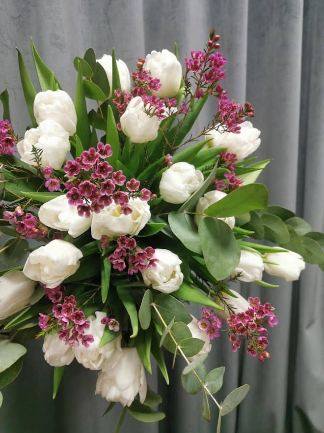 Tulpes5 — InFlowers