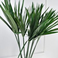 Papirus