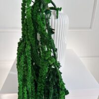 Staabilized amaranth 1