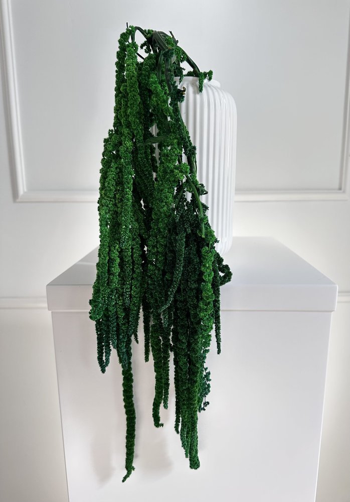 Stabilizuotas amaranth